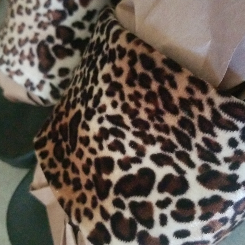 Leopard Slides - Picture 6 of 7